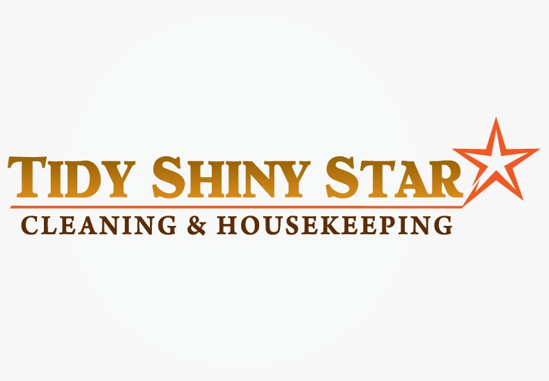 TIDY SHINY STAR